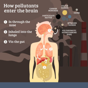How Does Air Pollution Affect Our Health?