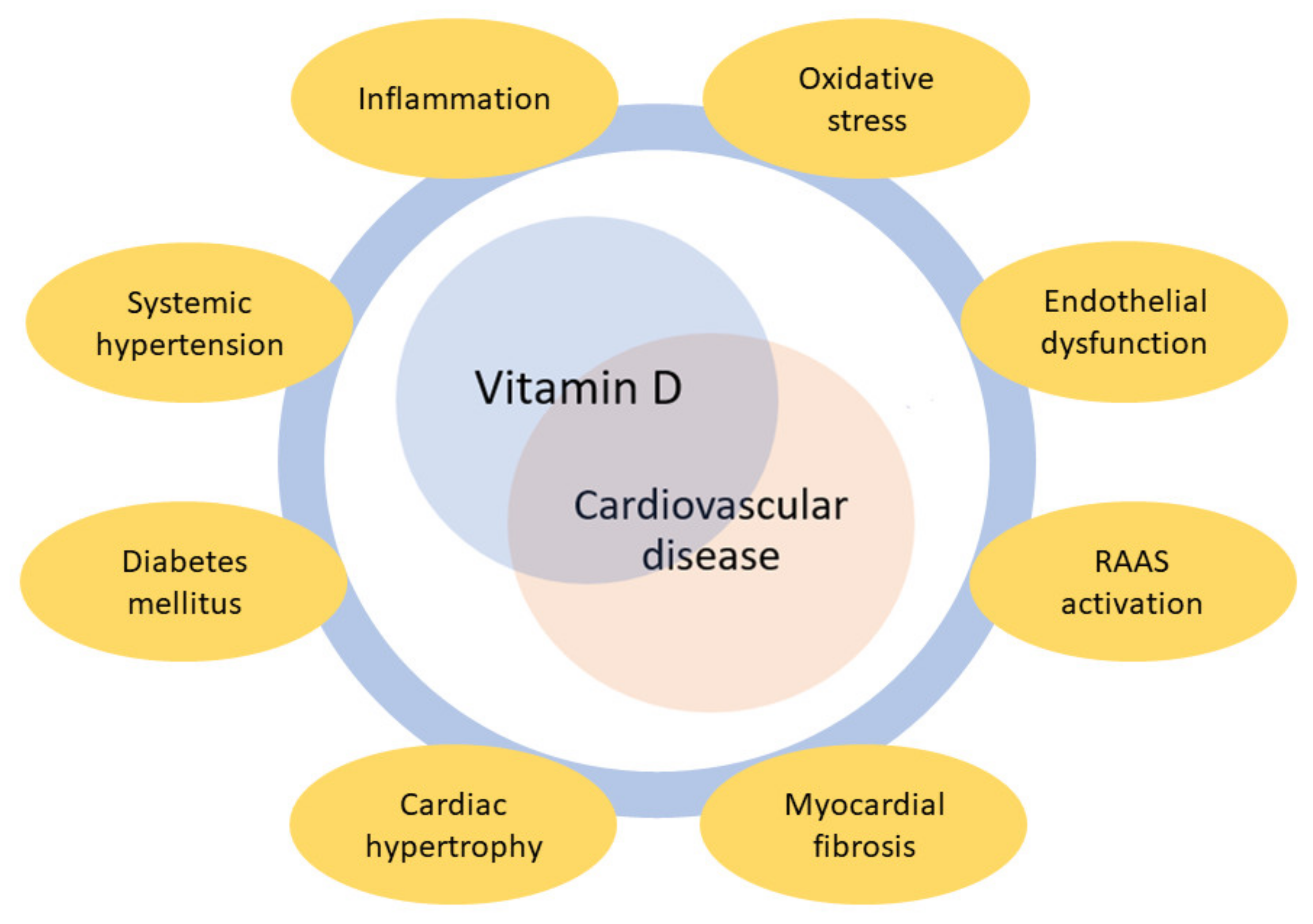 The Role of Vitamin D in Dementia Prevention