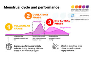 Menstrual Cycle And Athletic Performance