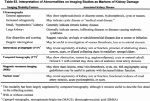 What is the Difference between Kidney Disease And Kidney Damage