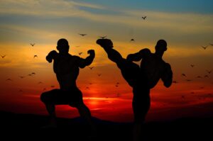 Martial Arts Injury Management : Master the Art of Healing